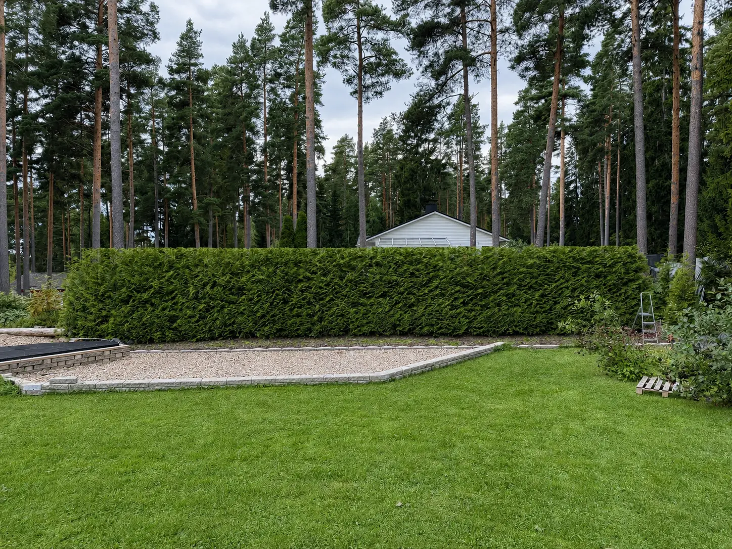 Piha-apurin siististi leikkaama tuija-aita hoidetulla pihalla Pirkanmaalla